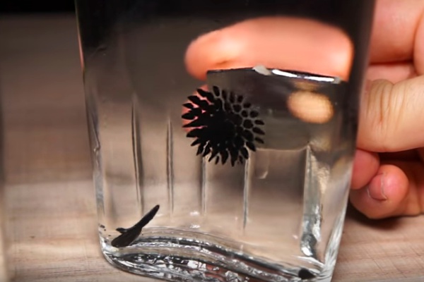 Magnetická kvapalina ferrofluid vo fľaši s vodou.